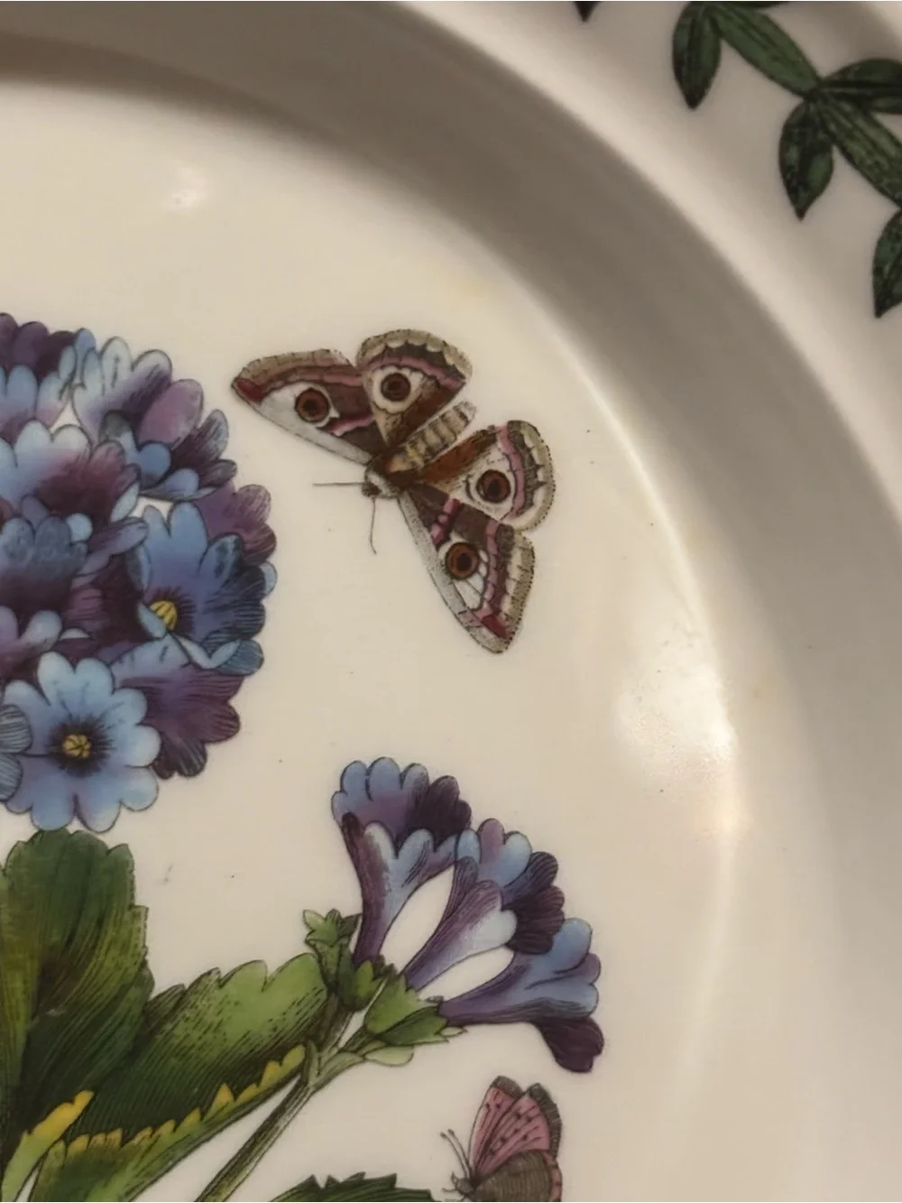 Portmeirion Botanic Garden Primula Villosa 7” Side Plate